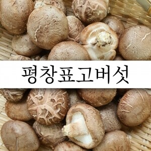 생표고버섯 : 1Kg