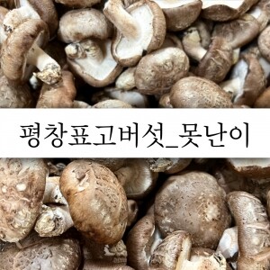 (못난이 상품) 생표고버섯 못난이 : 1kg