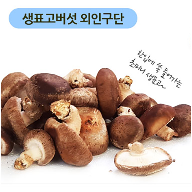 강원더몰,생표고버섯[공포의 외인구단]-1kg